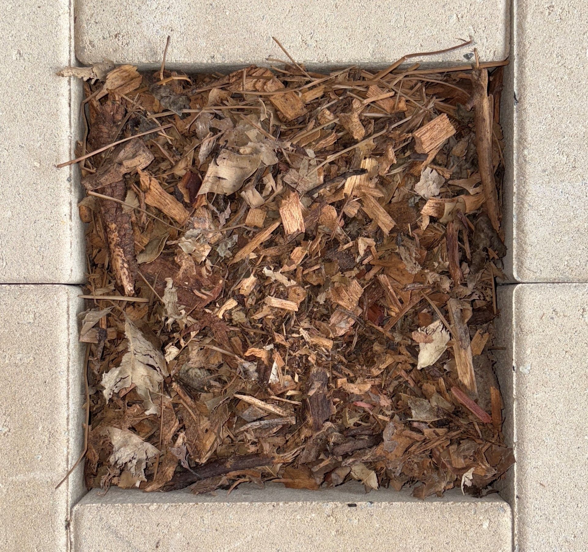 Forest Mulch