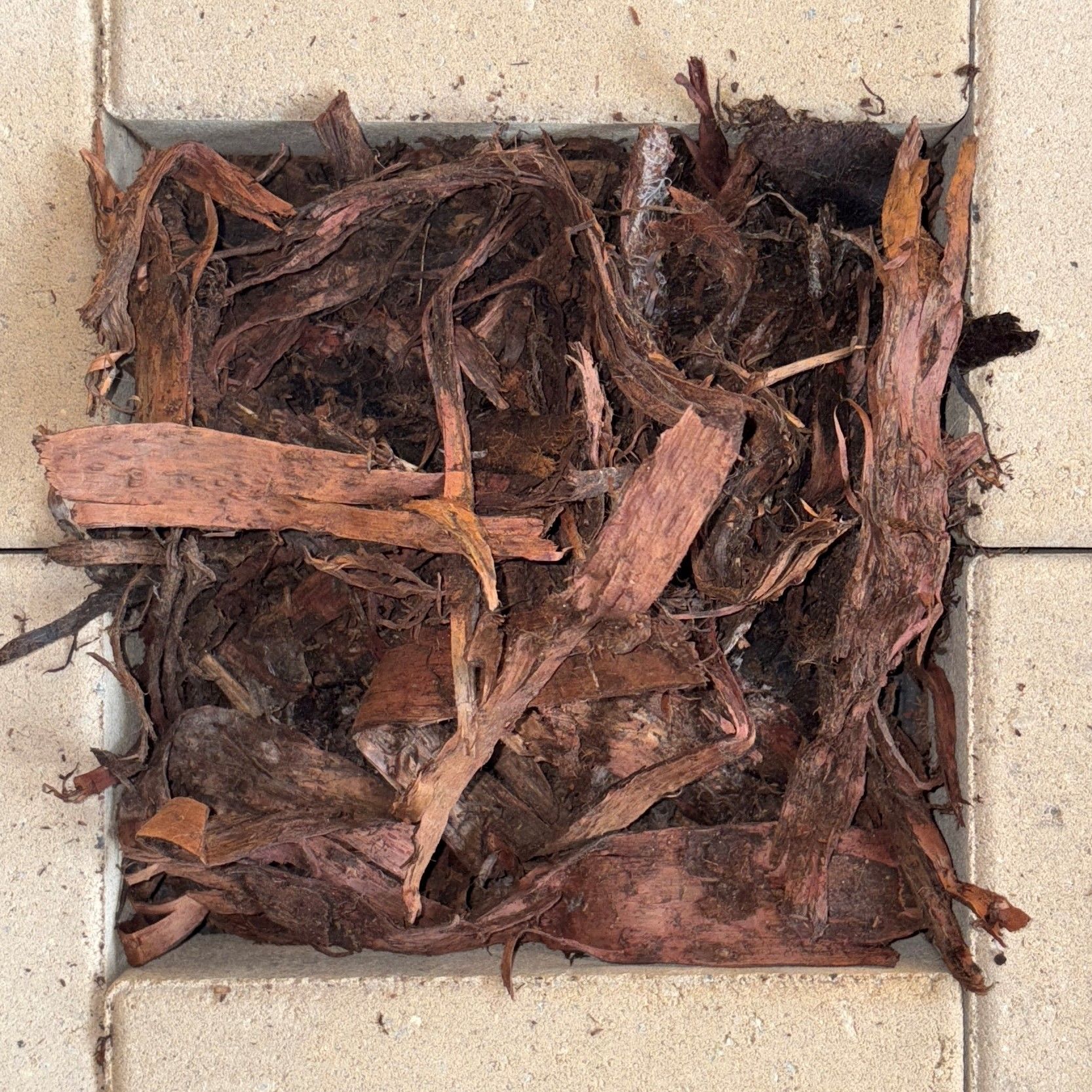 Hoop Pine Bark