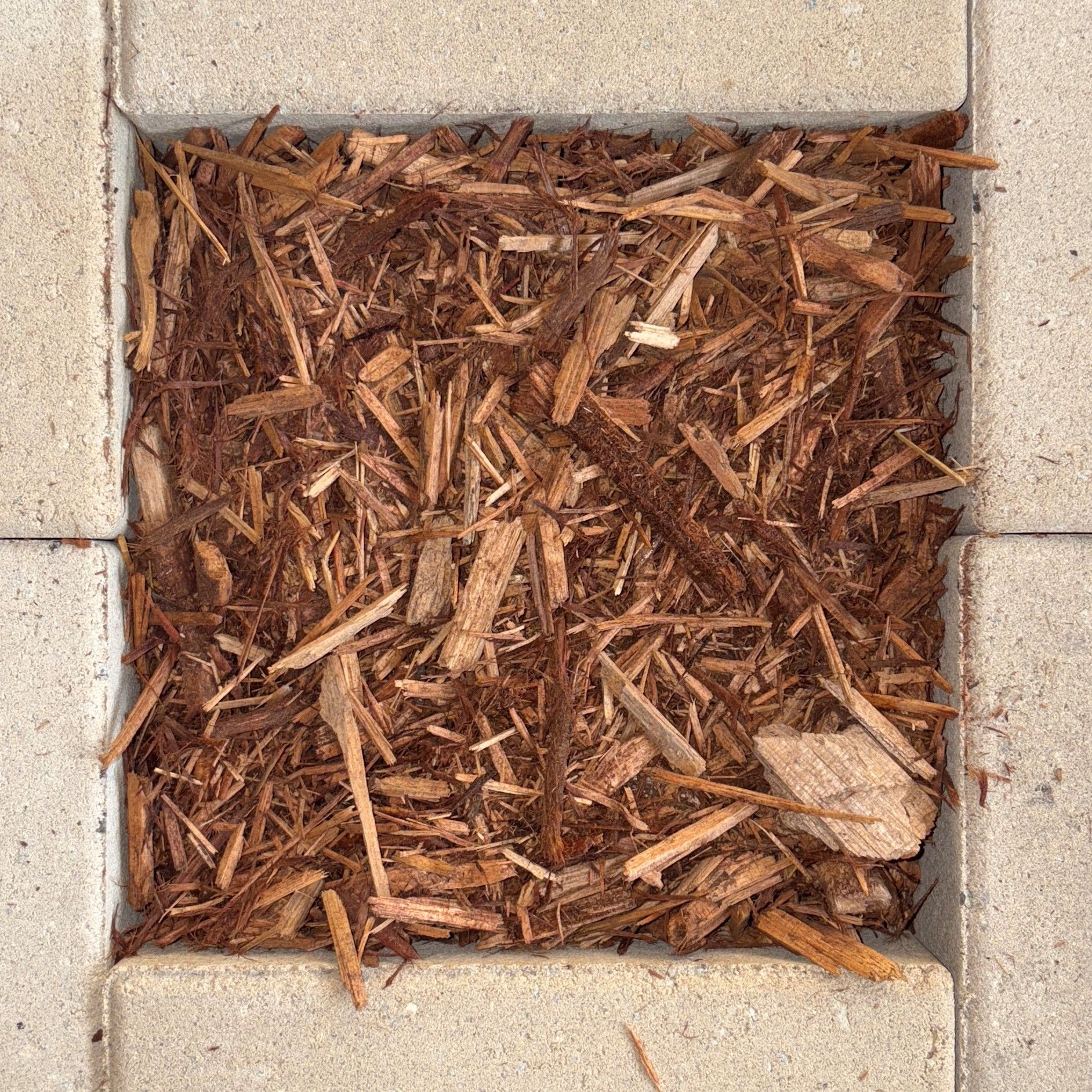 Outback Cypress Blend Termite Resistant