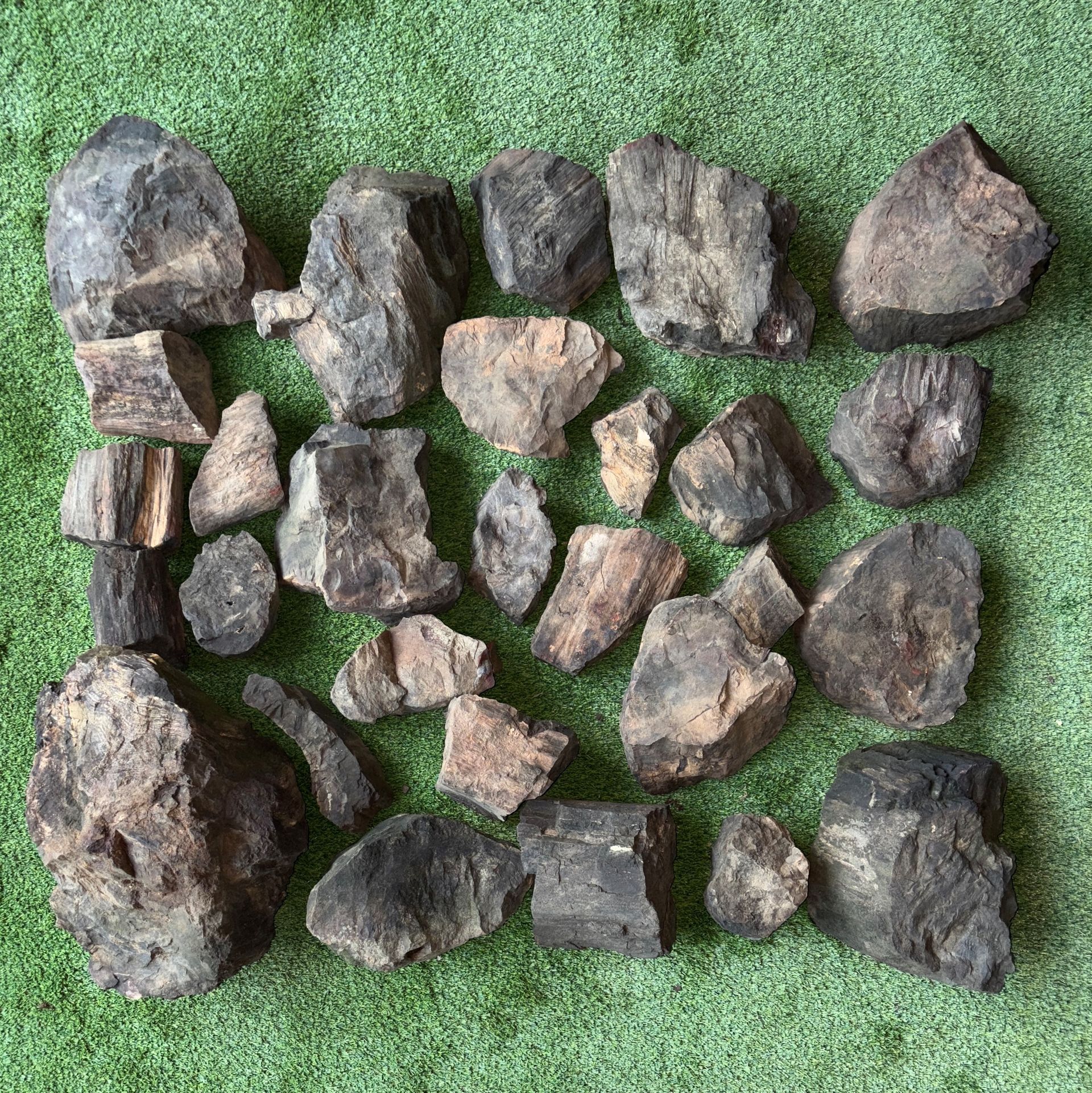 Petrified Wood Rock 250mm - 450mm