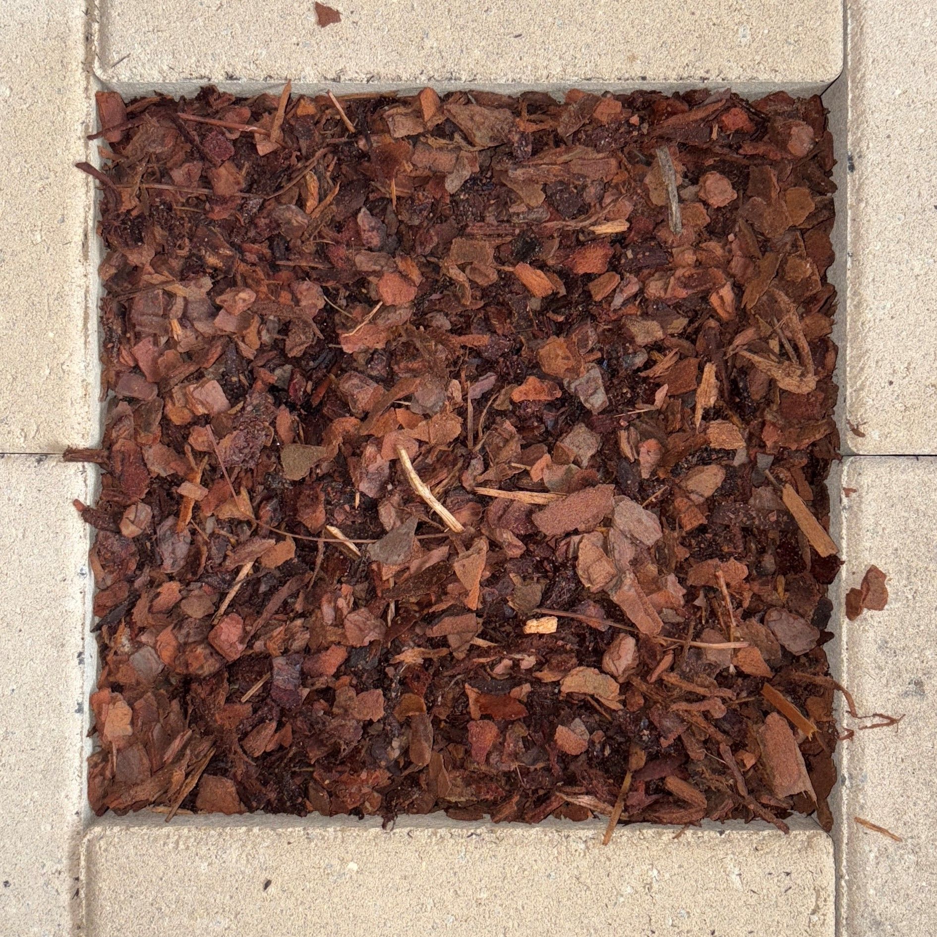 Pine Bark Fines Soft Fall