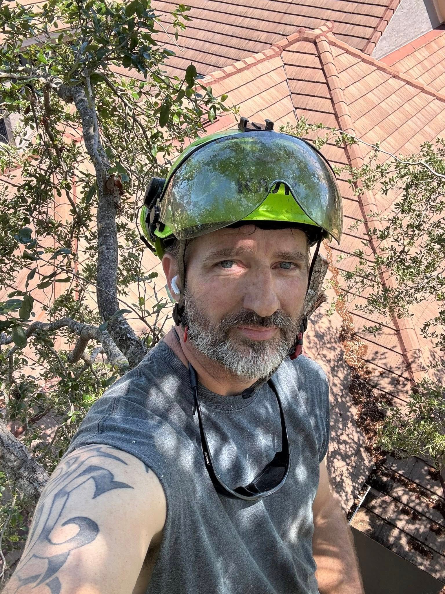 Man in safety helmet trimming tree branches outdoors.