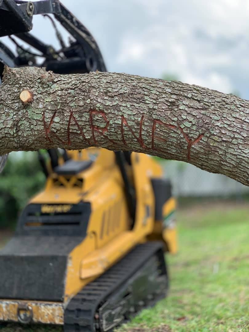 Yellow construction vehicle holding a tree branch with 