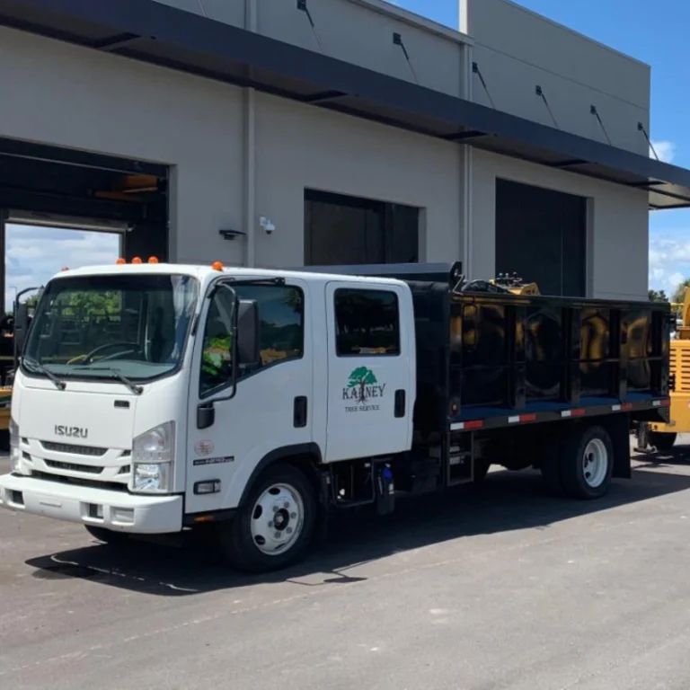 White Isuzu dump truck with black bed, parked in front of a building; logo on the door.