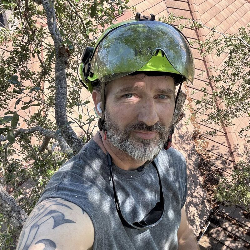 Man wearing a helmet and looking at the camera, working on a tree.
