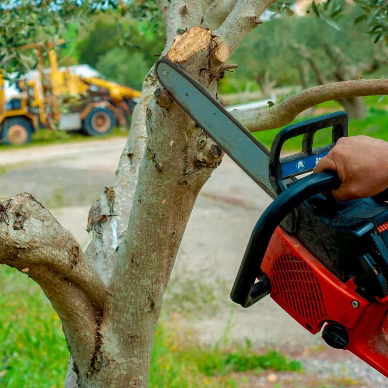 Person using a chainsaw to trim a tree branch outdoors; a yellow vehicle is in the background.