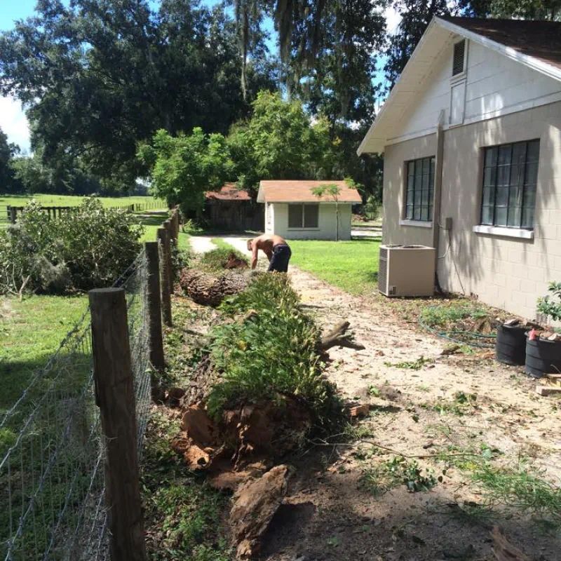 Man cutting branches near a fence and house; debris on the ground.