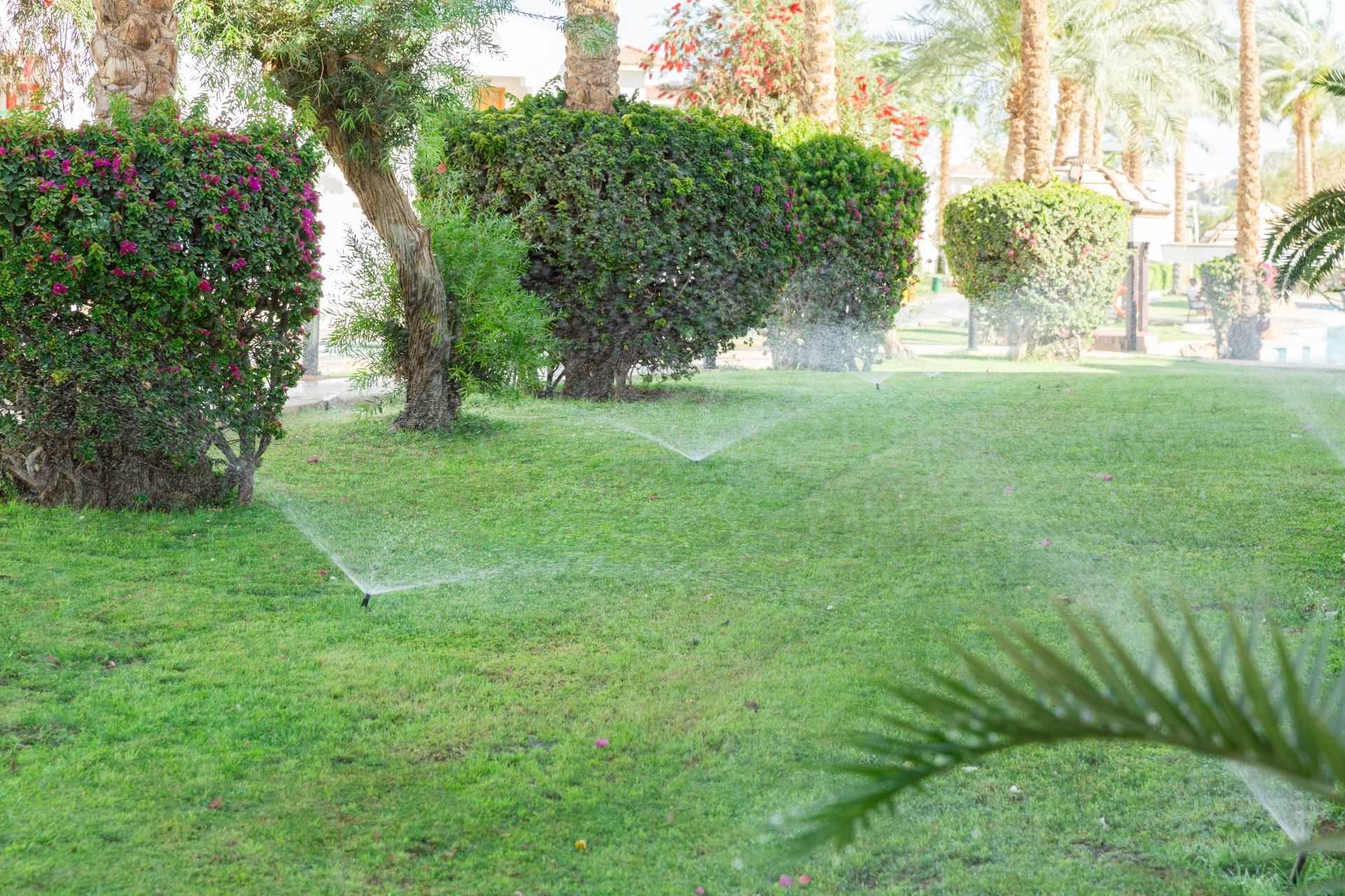 Irrigazione