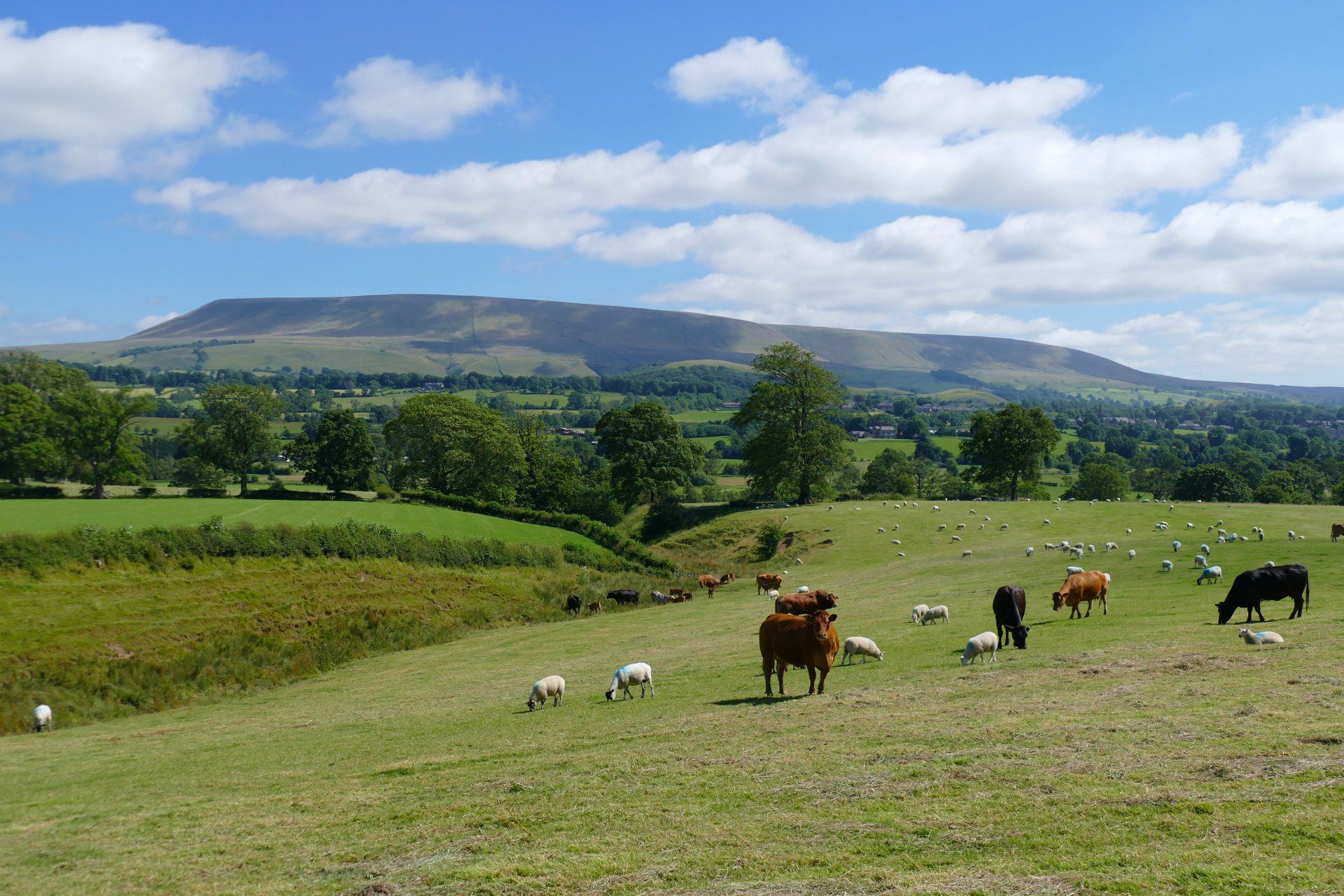 Pendle Hill Grindleton Caroline Mills
