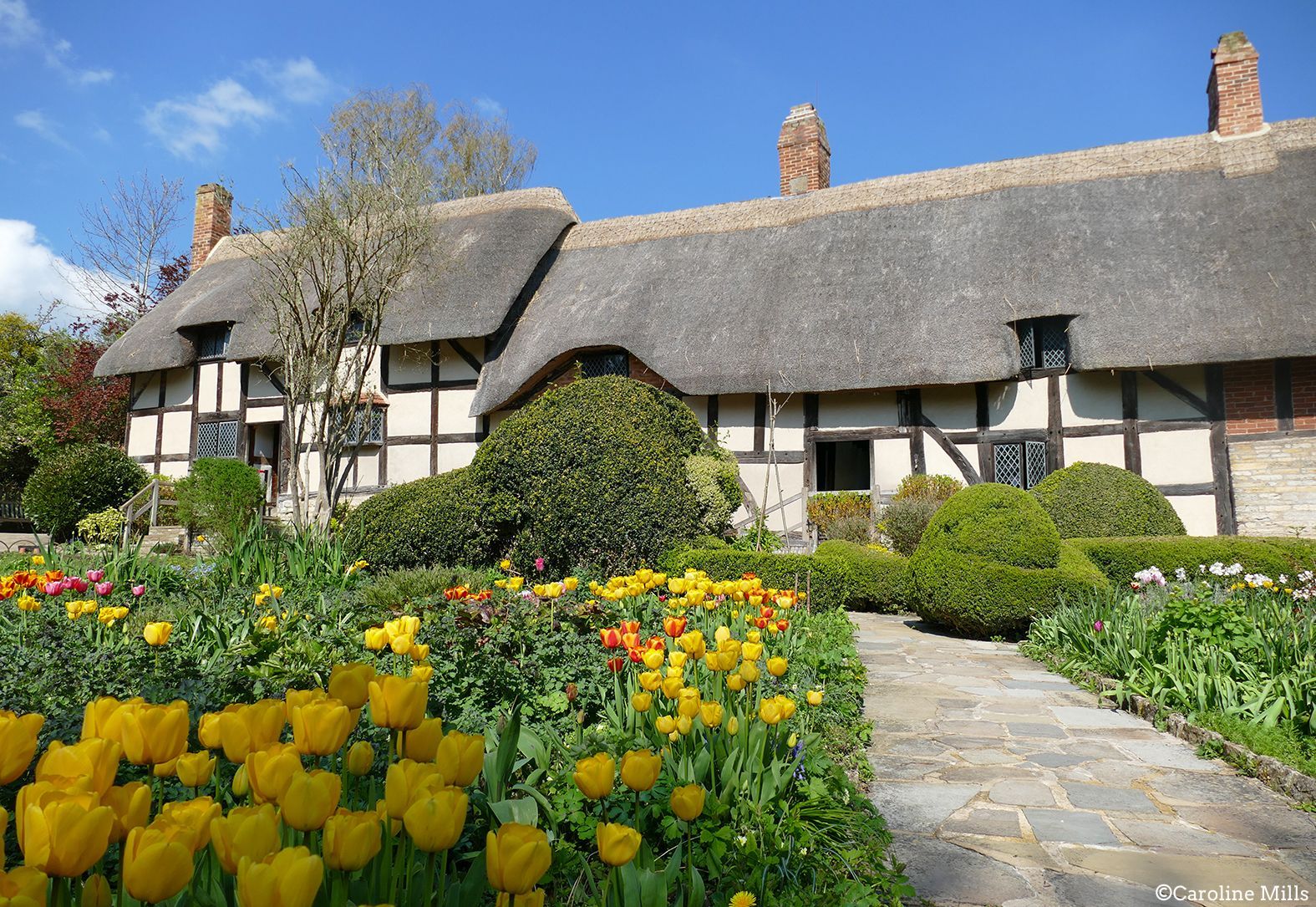 A thatched roofed house with flowers in front of it