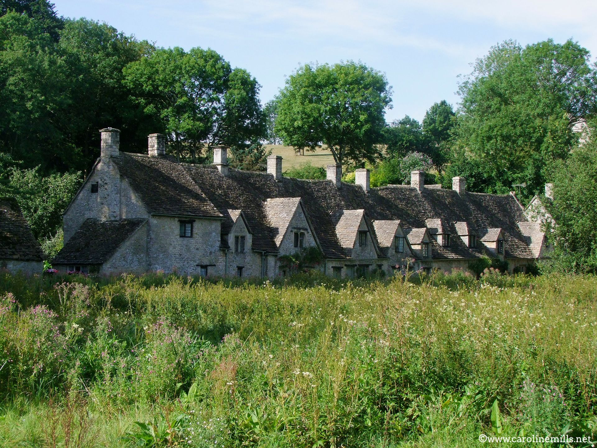 A row of houses in a field with trees in the background