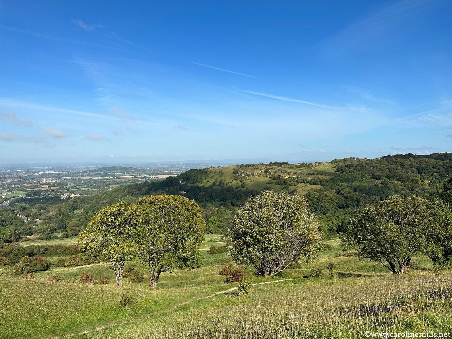 A view of a city from a hill with trees in the foreground and a blue sky in the background.