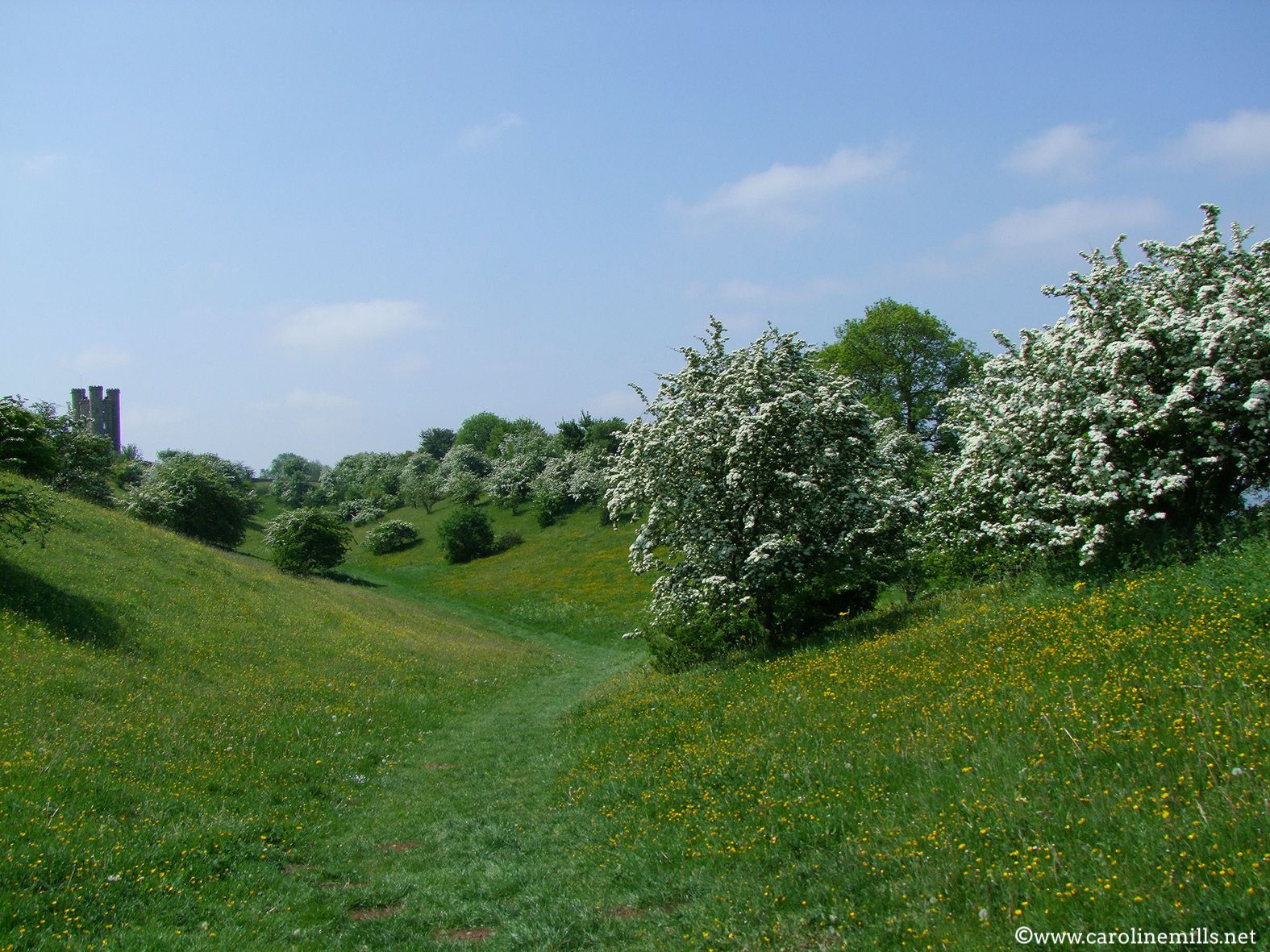 A path going through a grassy field with a castle in the background