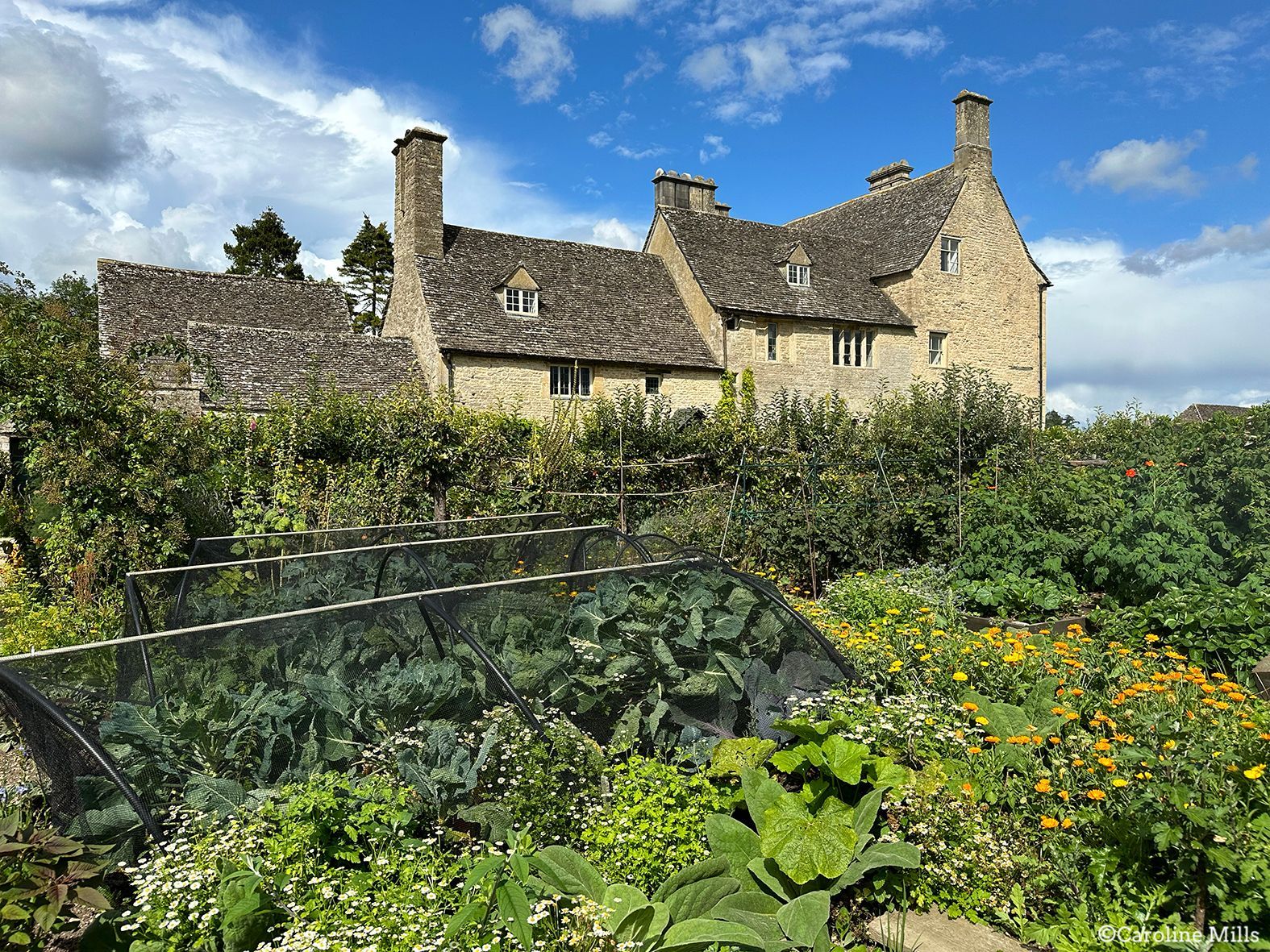 A large stone house is surrounded by a lush green garden.