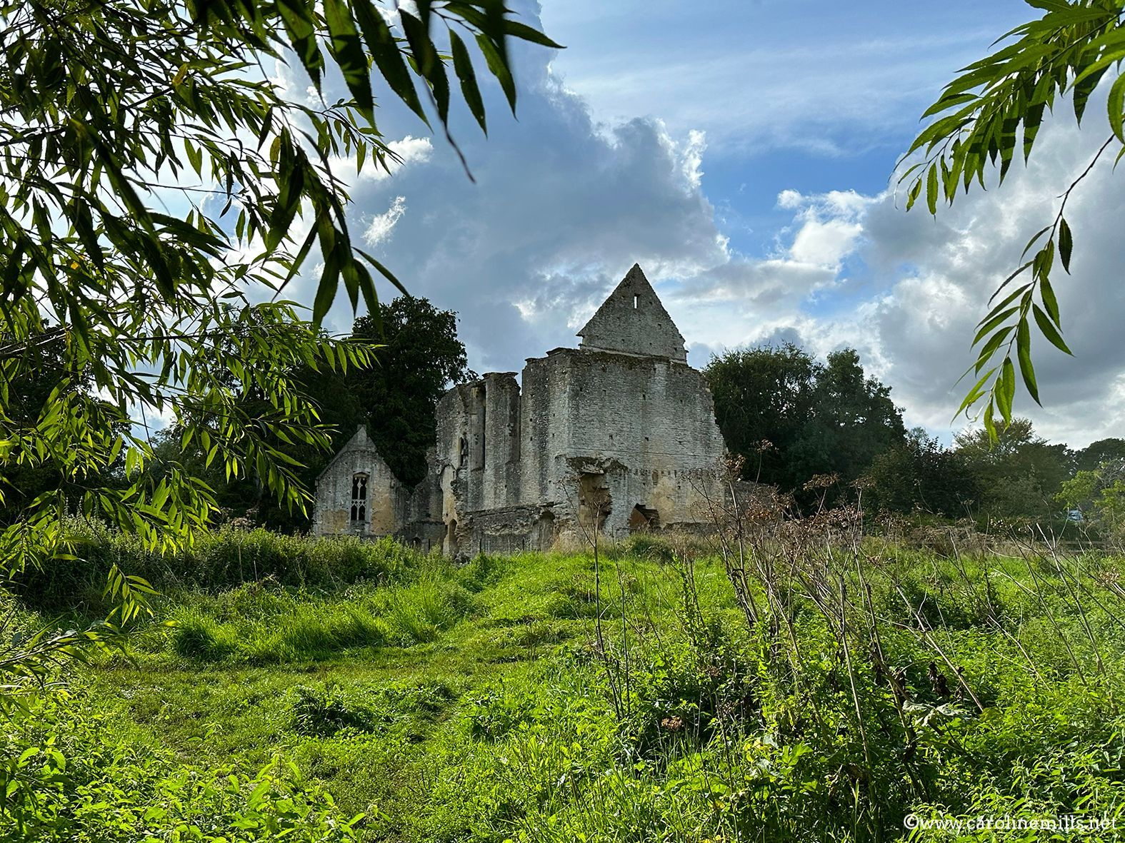 An old building is surrounded by trees and grass in a field.