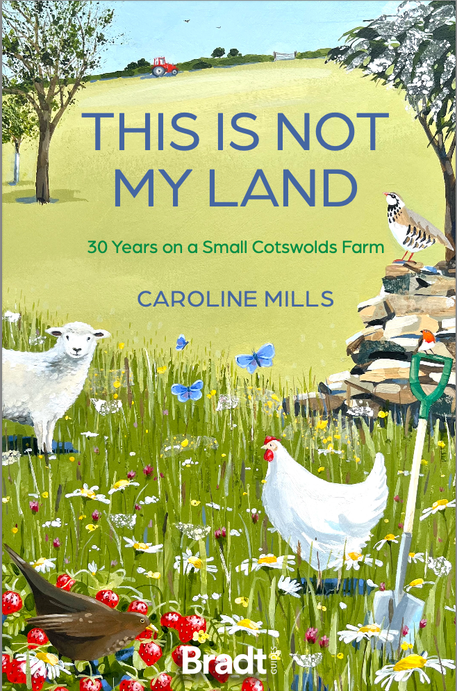 Front cover of a book This Is Not My Land 30 years on a small Cotswolds farm
