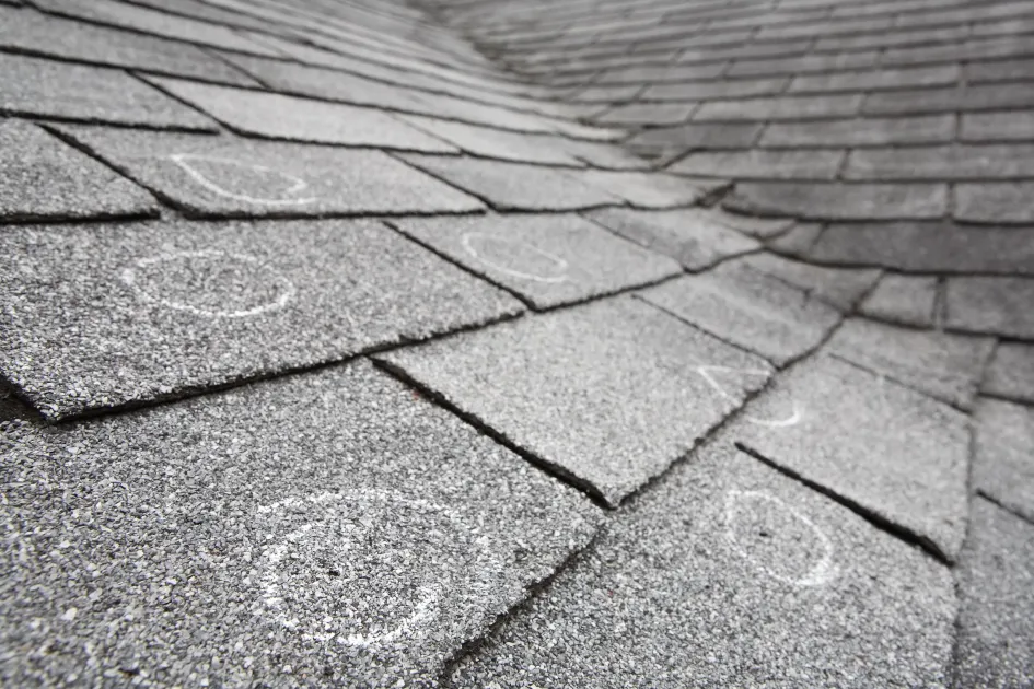 Close-up of gray roof shingles with chalk circles marking areas for inspection or repair