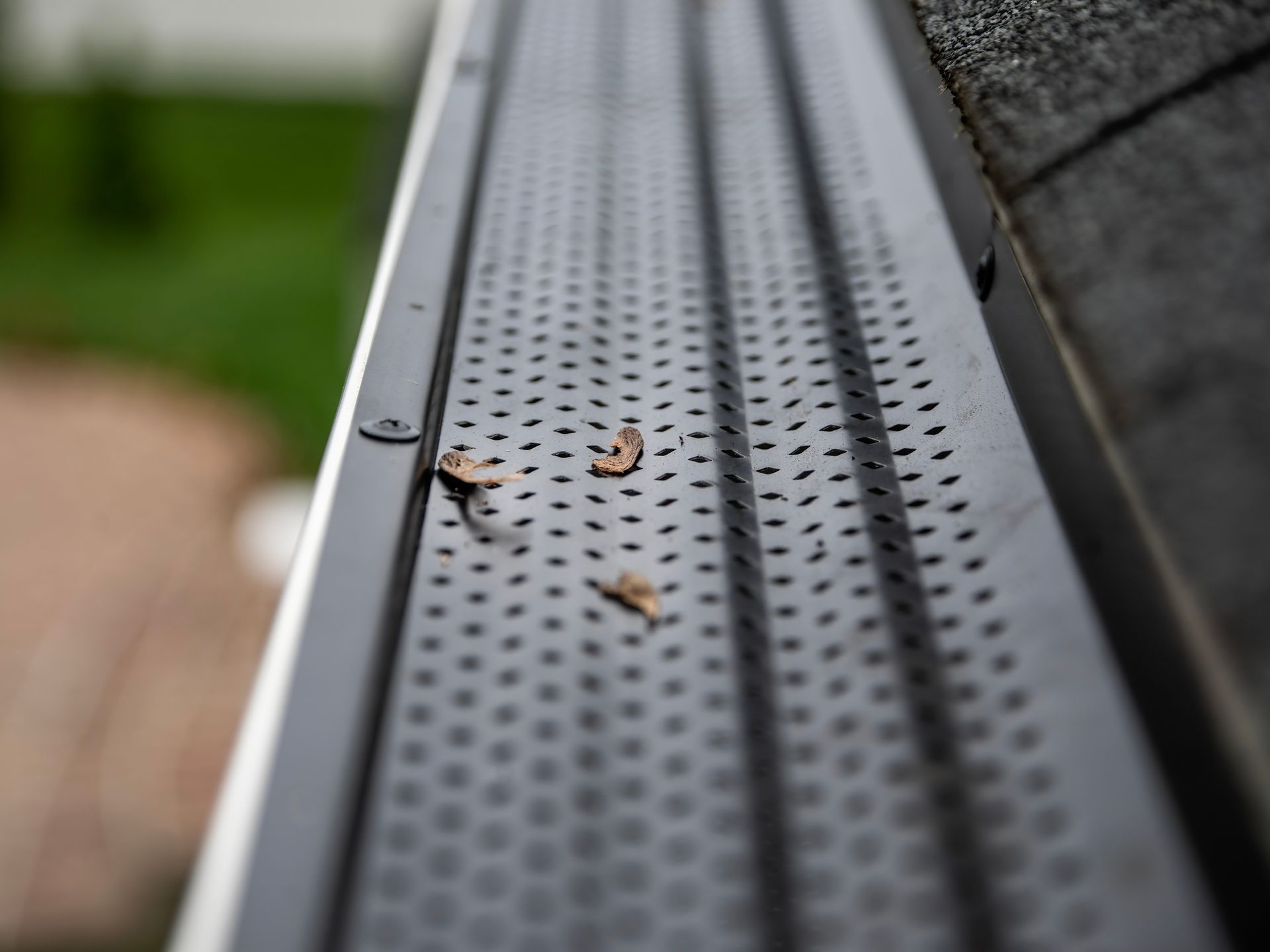 Close-up of a gutter with a mesh cover; a few leaves visible.