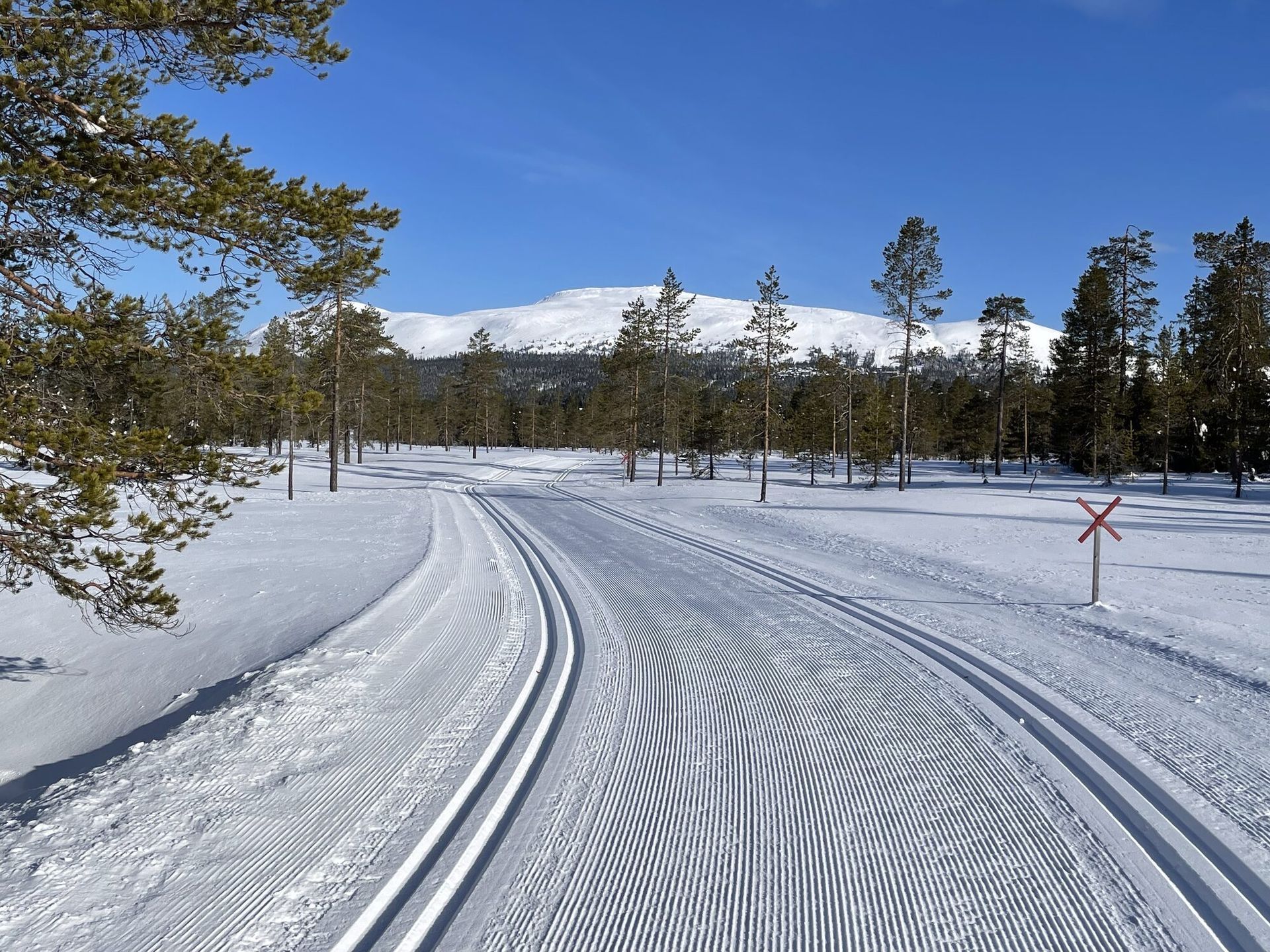 Freshly groomed cross-country tracks below Trysilfjellet on an April morning