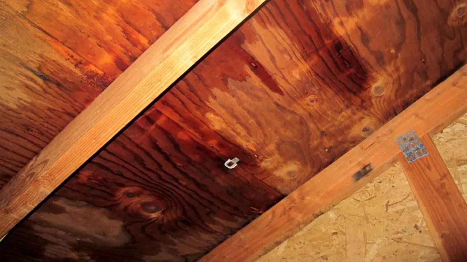 Wooden attic roof with exposed beams and plywood panels, seen from below