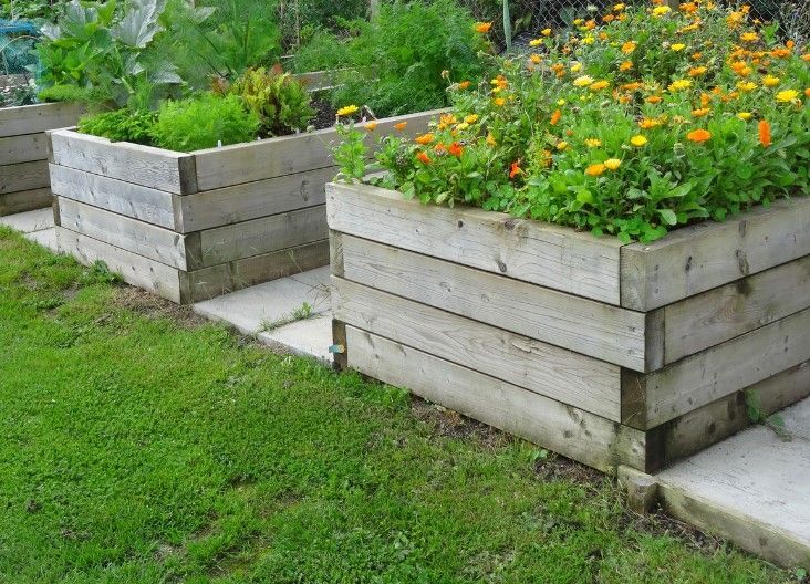Raised timber sleeper beds planted with flowers and vegetables