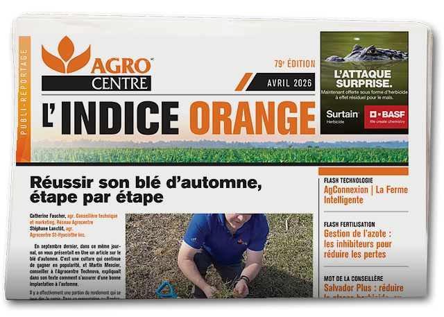 Indice Orange