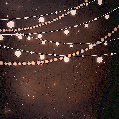 photo booth rental massachusetts bistro lights backdrop