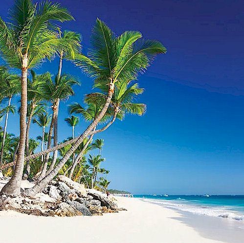photo booth rental massachusetts palm beach backdrop