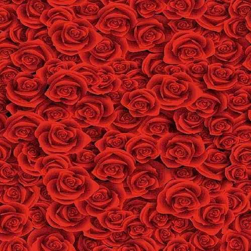 photo booth rental massachusetts red roses backdrop