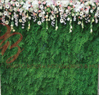photo booth rental massachusetts ferns backdrop