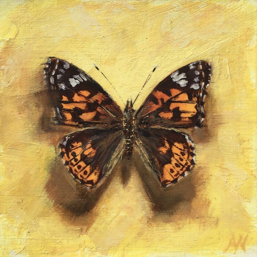 Orange, black, and white butterfly on a yellow background, wings spread.