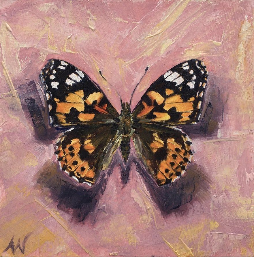 Butterfly with orange, black, and white wings on pink background.