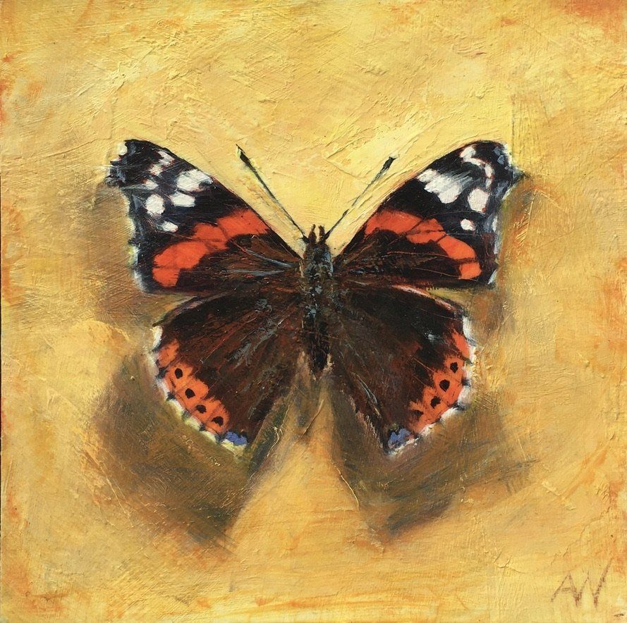 Red Admiral butterfly with orange, black, and white markings, centered on a gold background.
