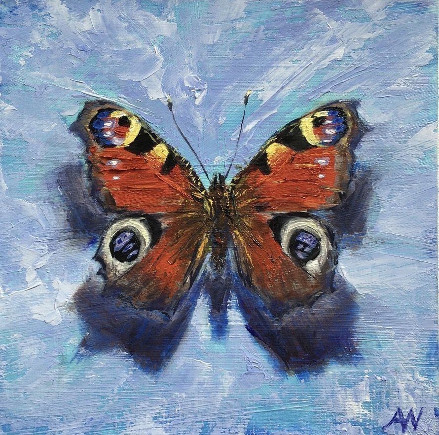 Peacock butterfly with orange, brown, and blue wings on a blue background.