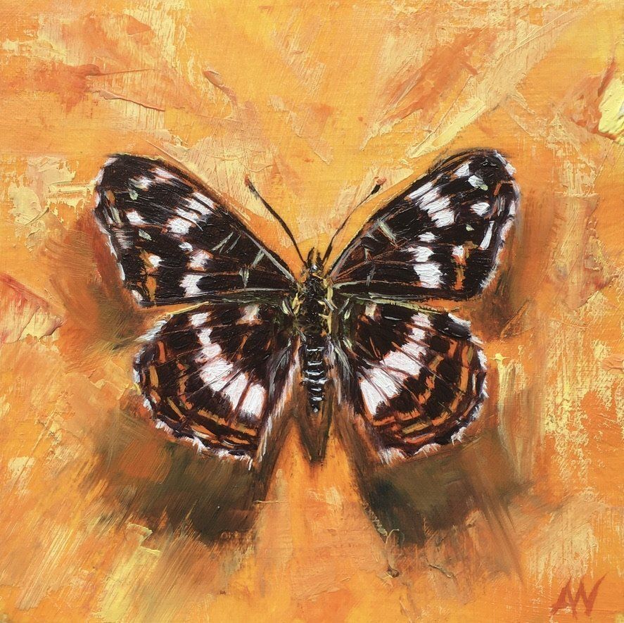 Butterfly with patterned black and white wings on an orange textured background.