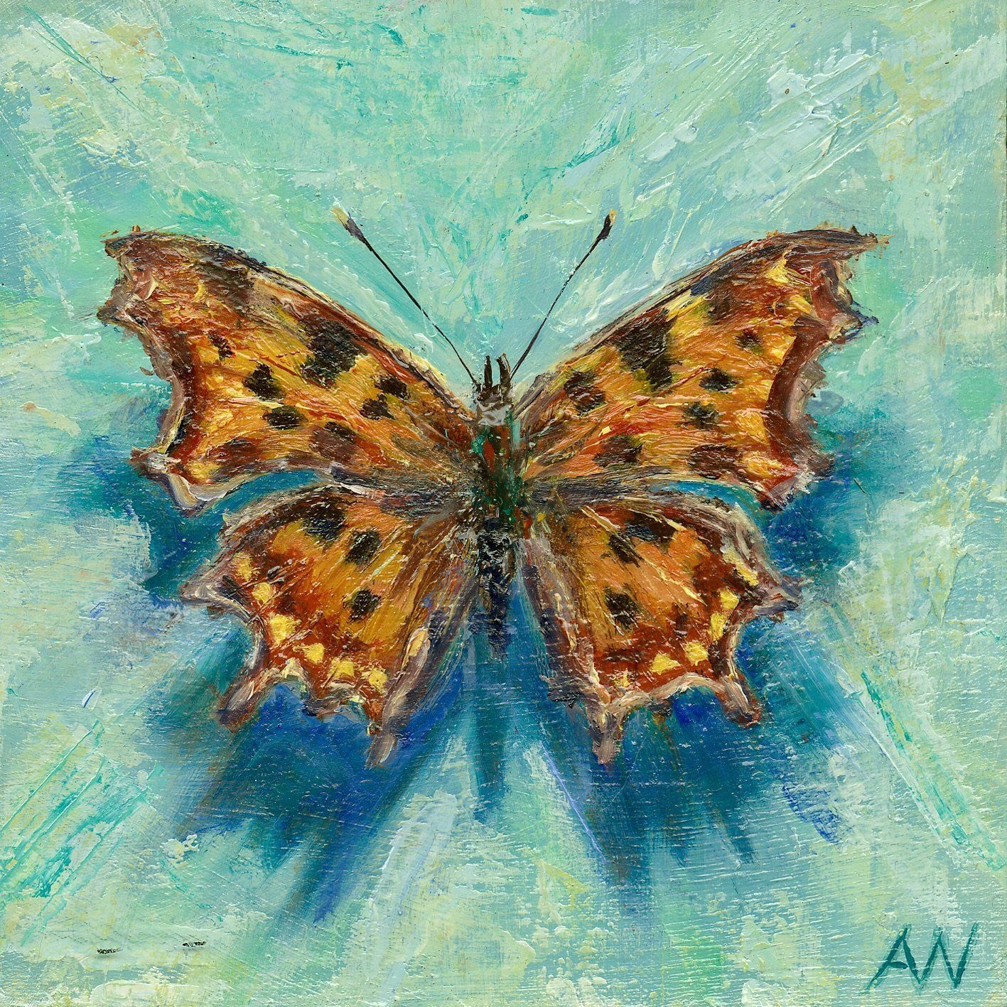 Butterfly with orange, brown, and black markings, set against a turquoise background with blue shadows.