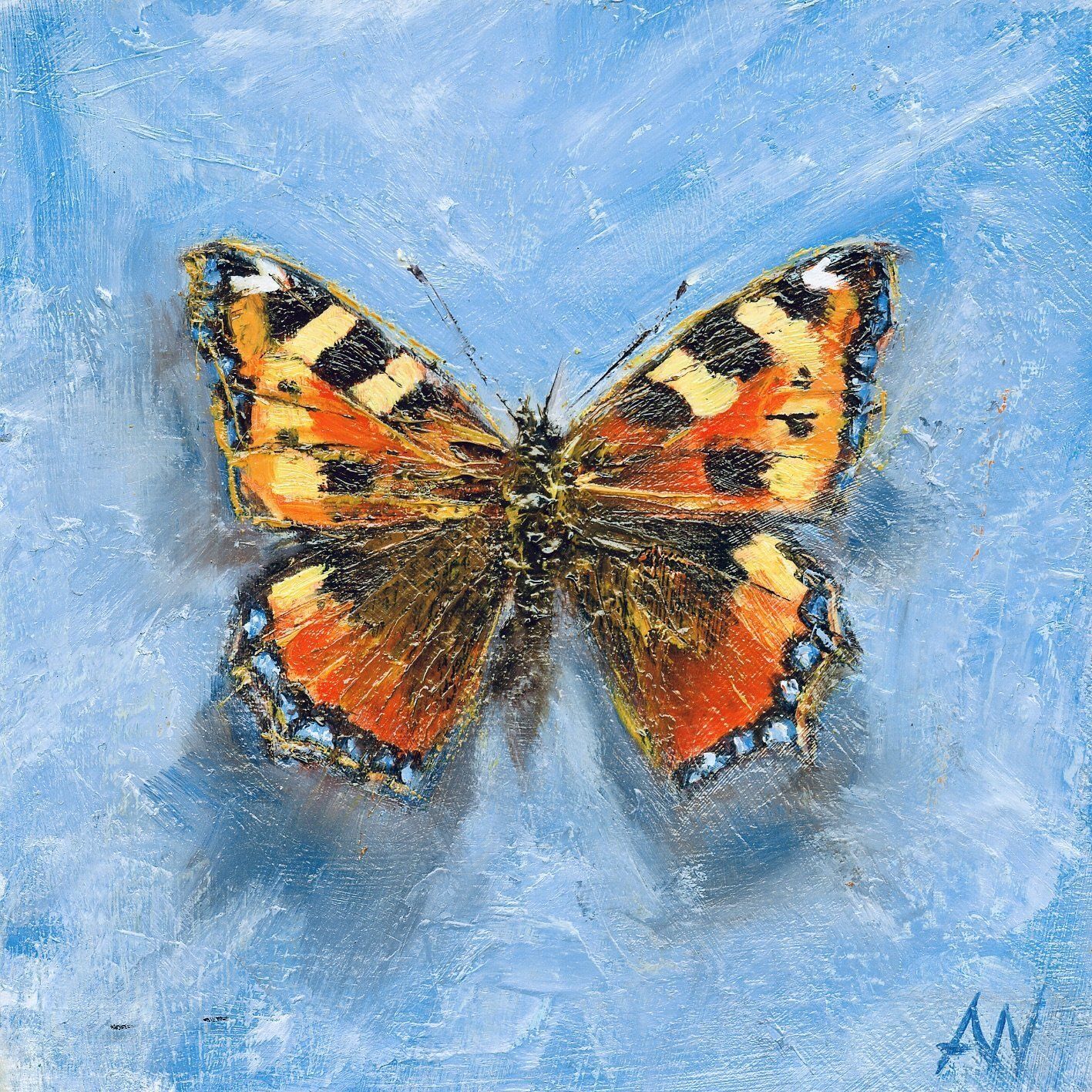 Butterfly with orange, black, and yellow wings on a blue background.