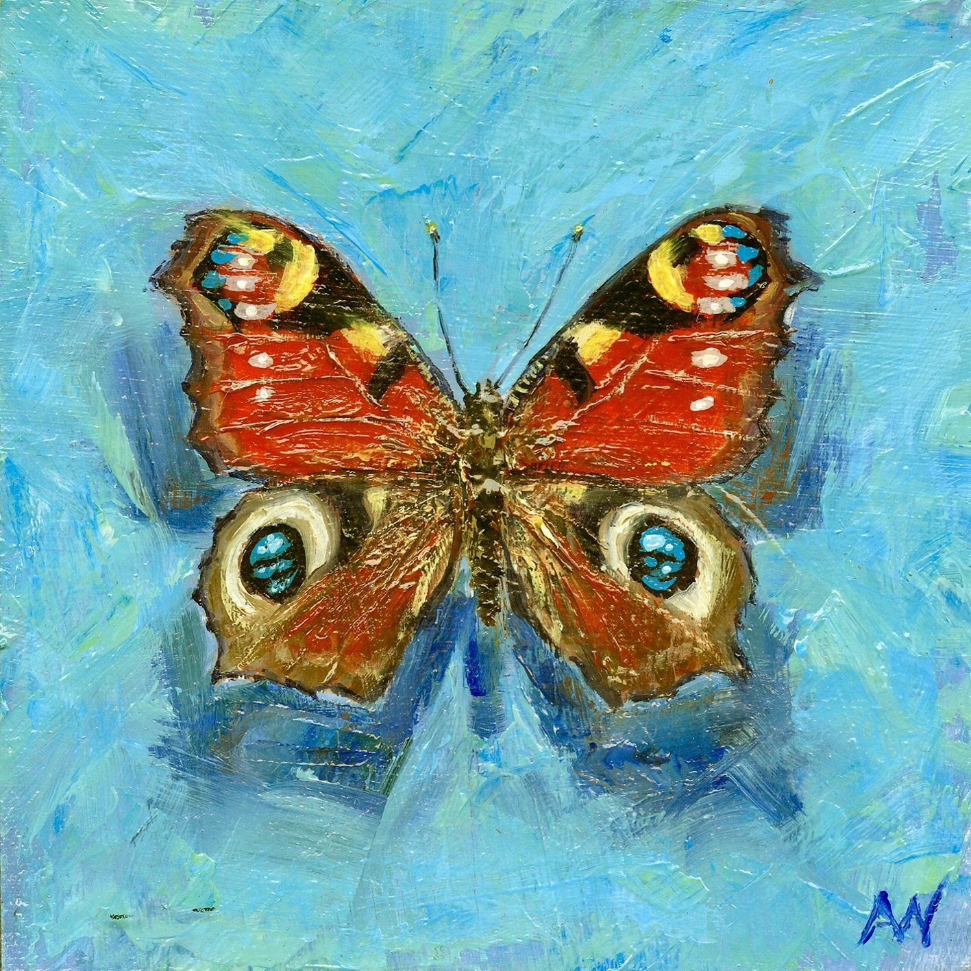 Peacock butterfly on a blue background, with red, yellow, and blue wing markings.