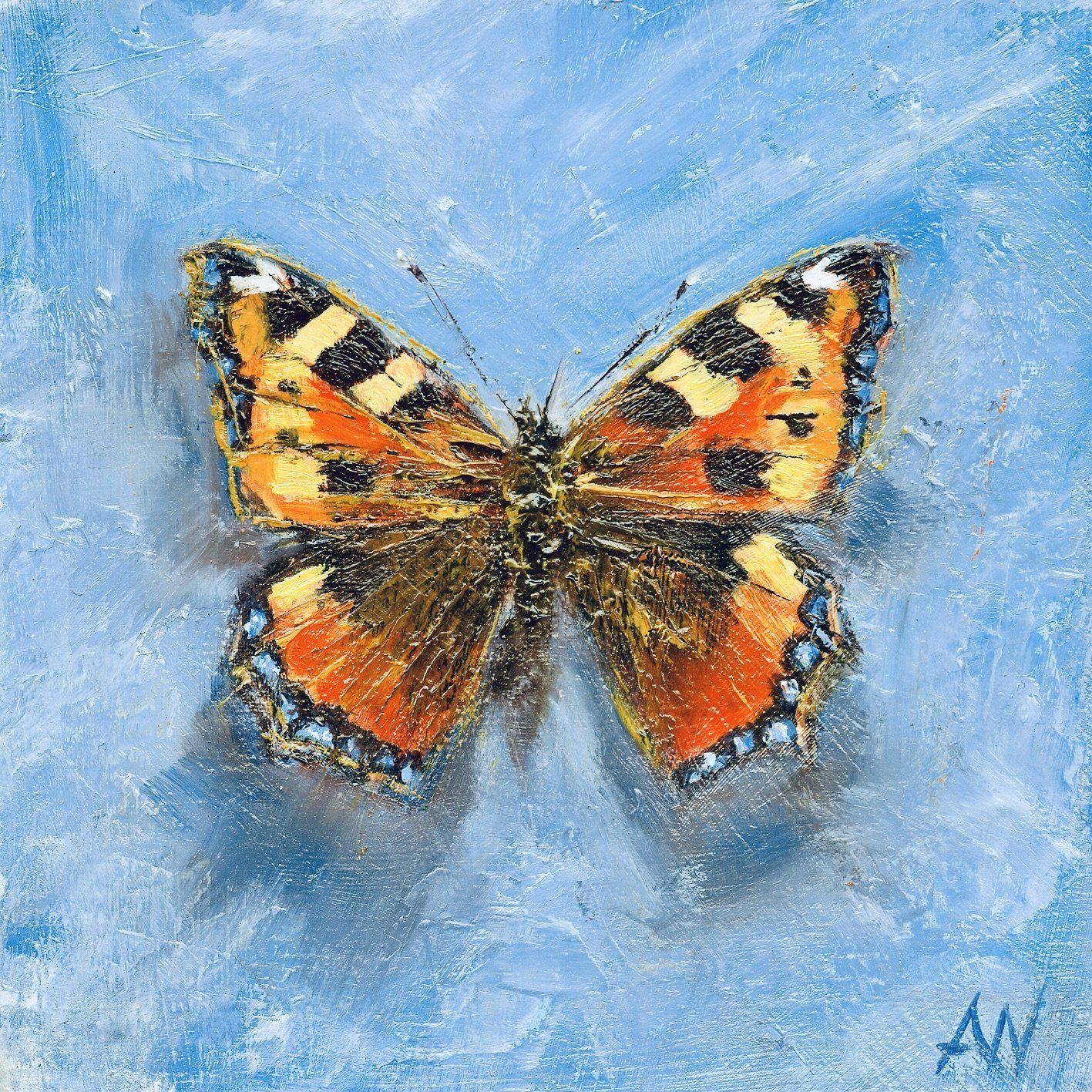 Peacock butterfly on a blue background, with red, yellow, and blue wing markings.