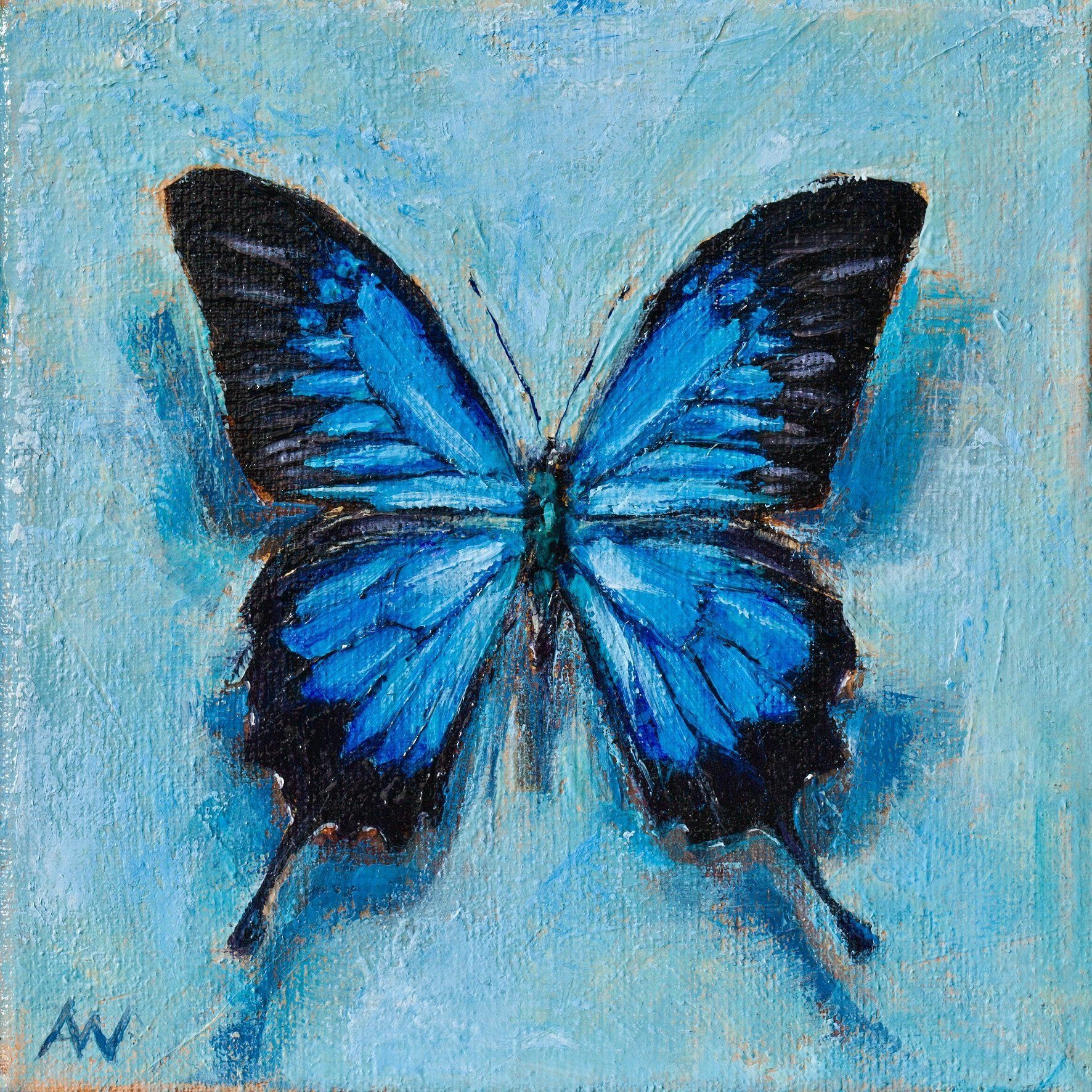Blue butterfly with black wing edges on a light blue textured background.
