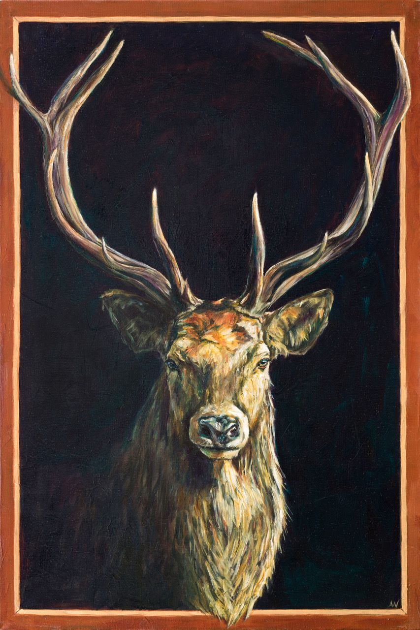 Stately stag with large antlers against a dark background, in a framed portrait.