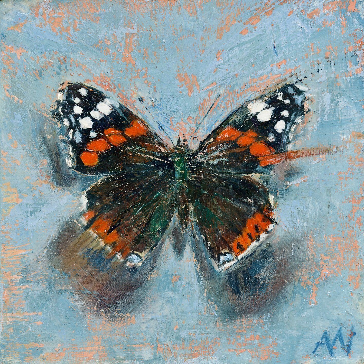 Butterfly with orange, black, and white wings on a blue background.