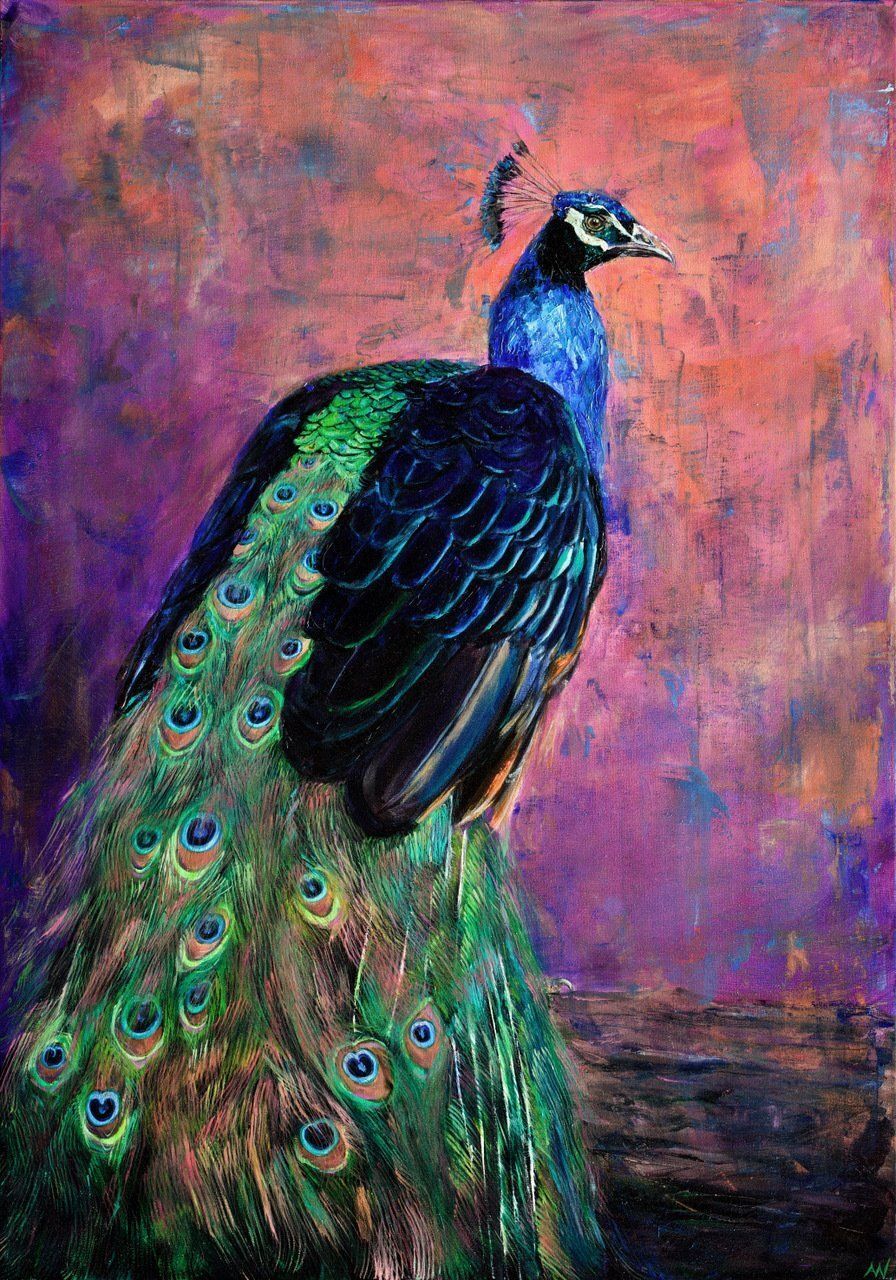 Peacock with iridescent blue, green, and gold feathers against a pink and purple background.