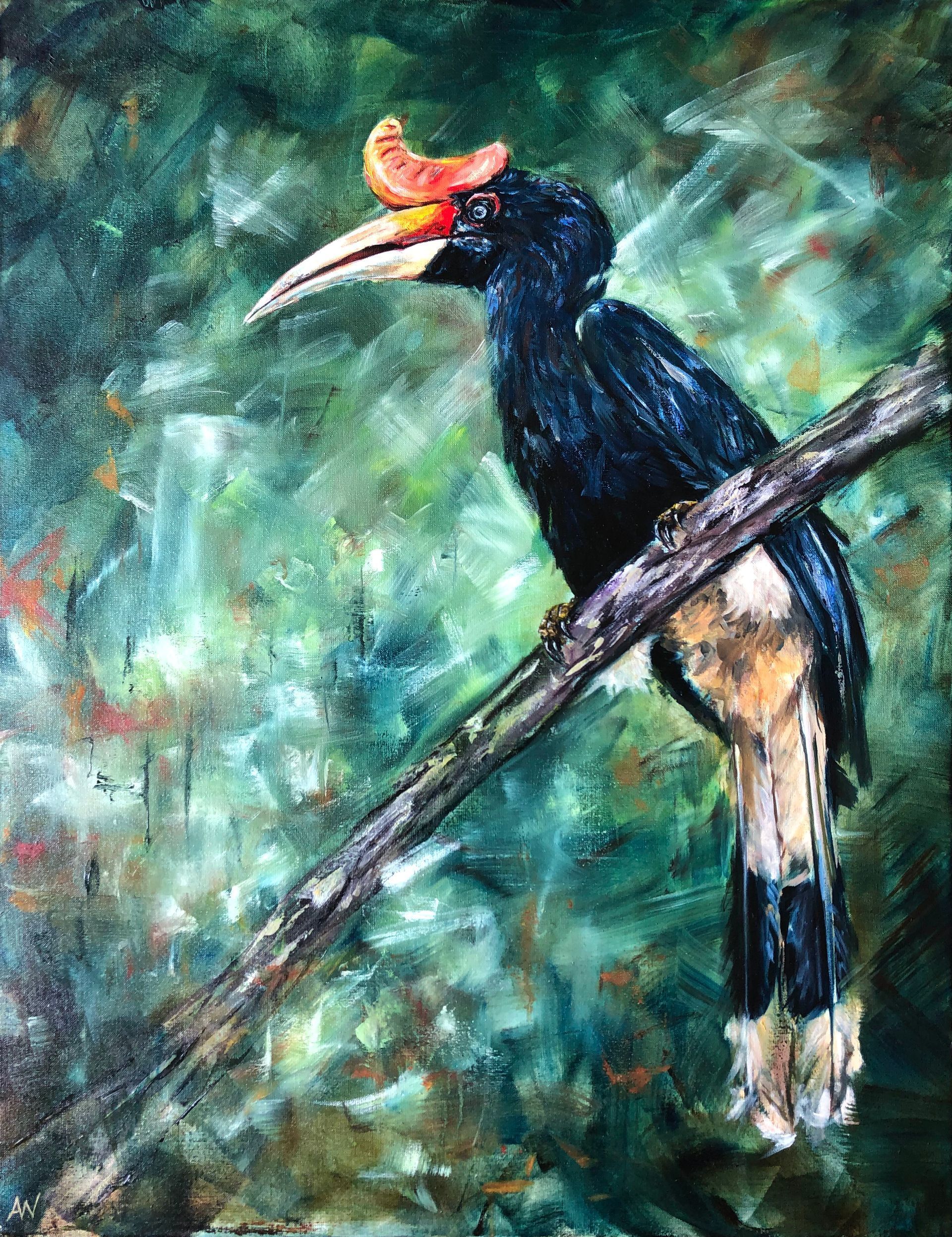 Hornbill perched on a branch, black plumage, white belly, red casque, green background.