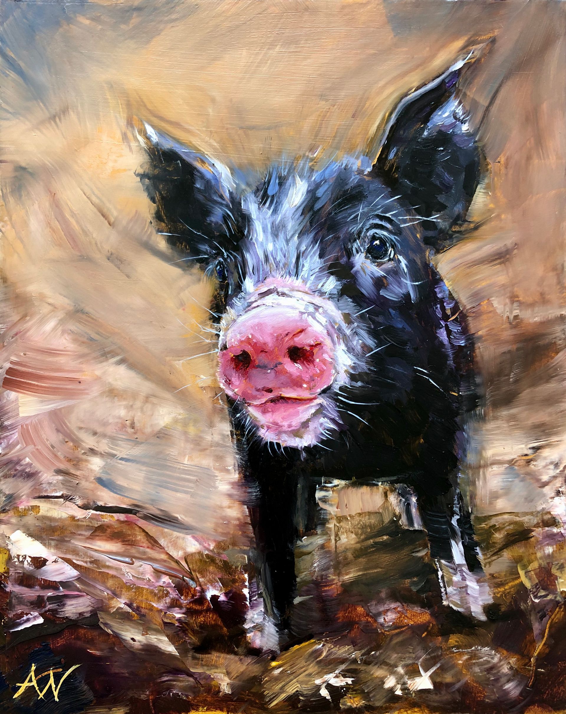 Black piglet with pink snout and ears, standing in muddy setting.