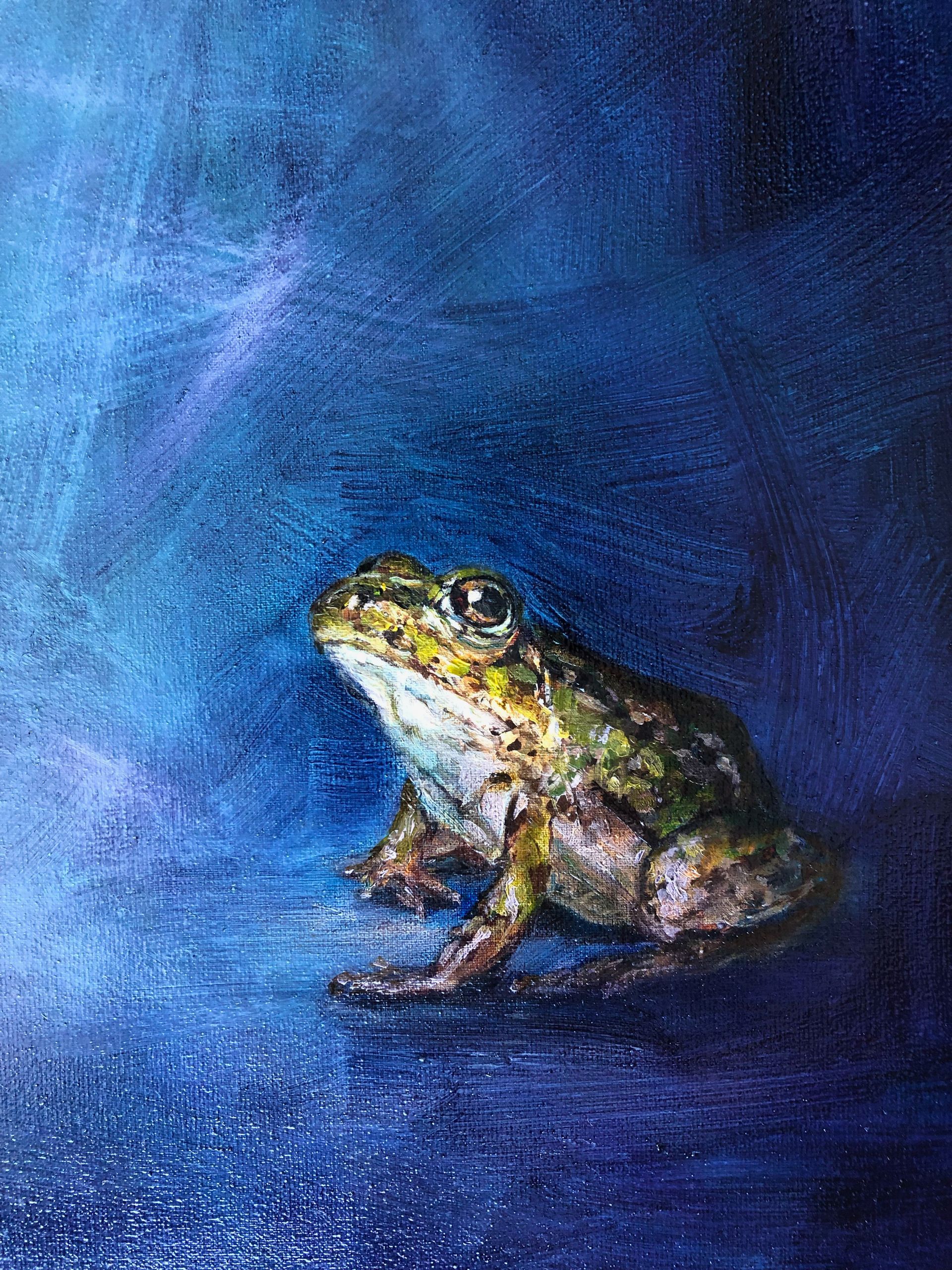 Green frog sitting on a blue surface, against a textured blue background.