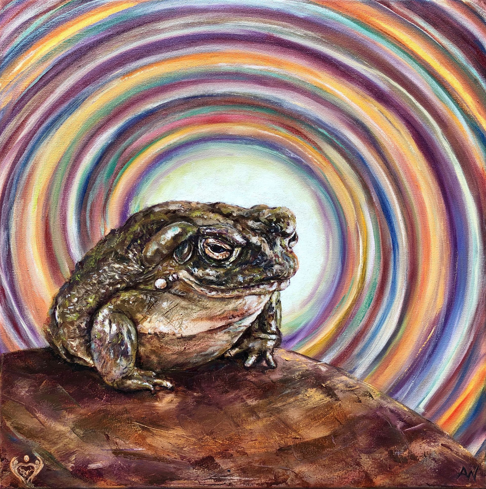 A toad sits on a rock against a swirling, multicolored background.