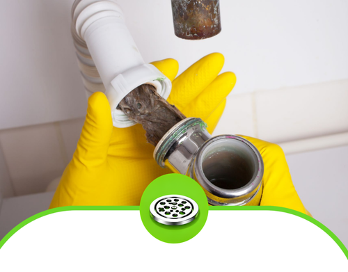 Gloved hands open a clogged pipe trap with dark debris inside over a white sink