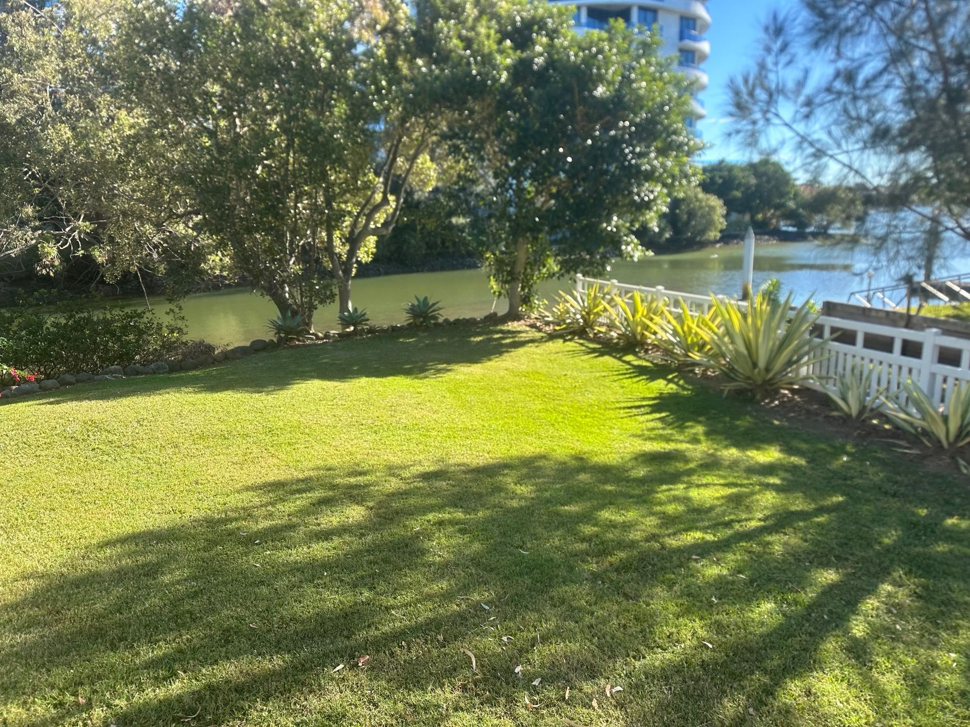 Lush green lawn next to a body of water, trees, and a white fence under a bright sunny sky.