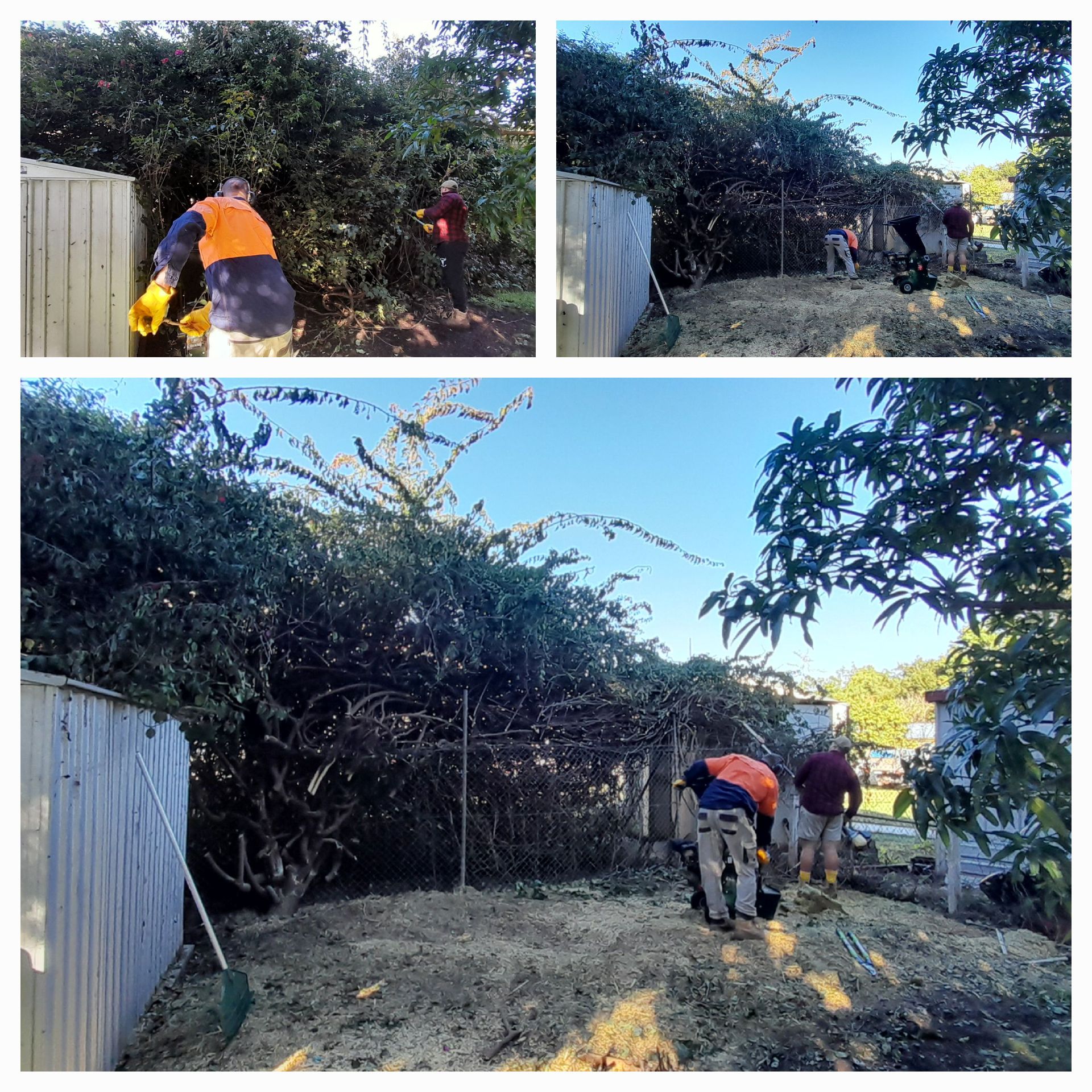 A Group Of People Are Working In A Yard — McCarthys Property Services in Glenugie, NSW